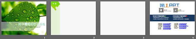 清新绿色叶子水滴背景的植物幻灯片模板下载